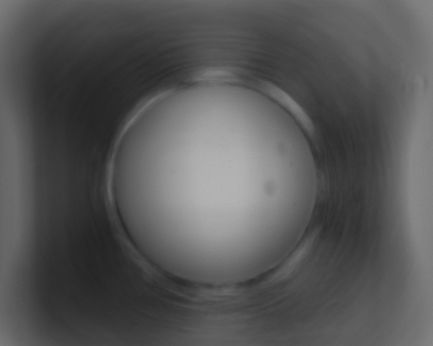 X0000101431386200807070956