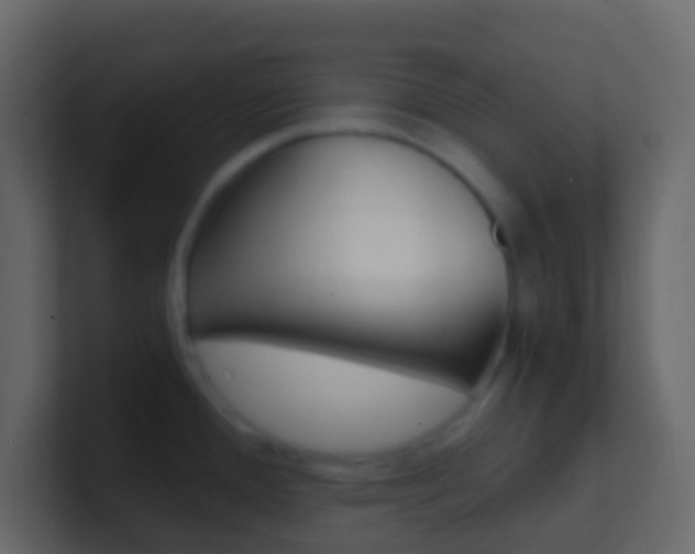X0000101431388200807070956