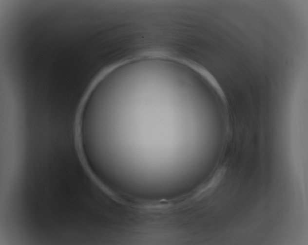 X0000101431389200807070956