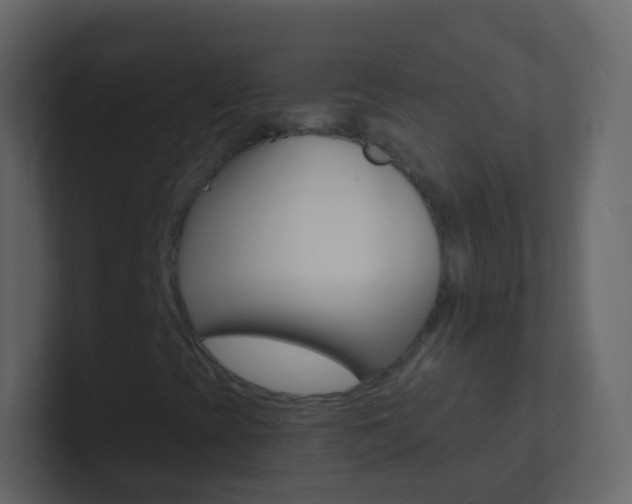 X0000101431393200807070955