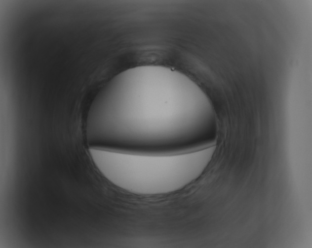X0000101431394200807070955