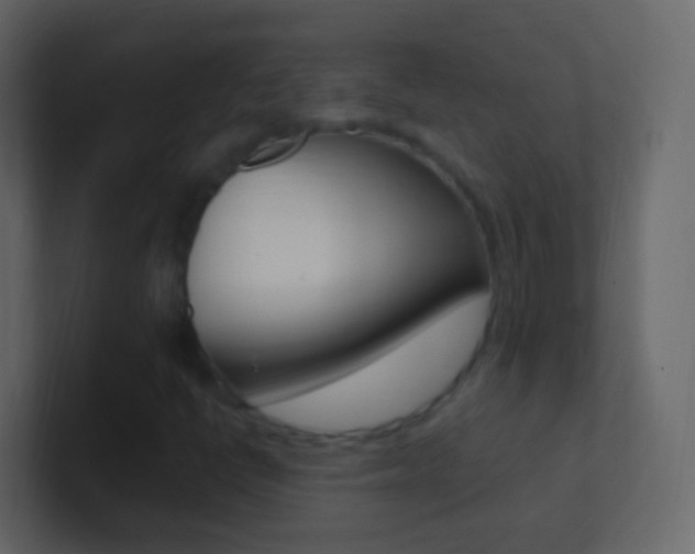X0000101431398200807070955