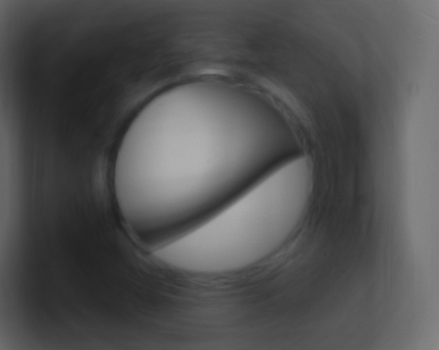 X0000101431404200807070955