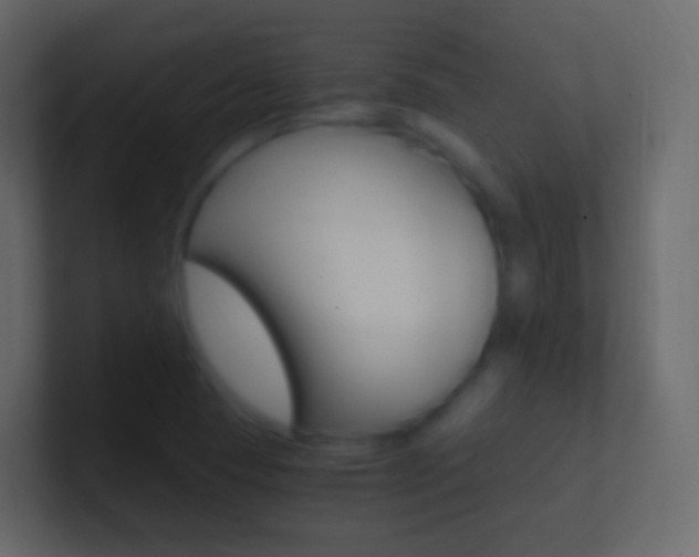 X0000101431409200807070955