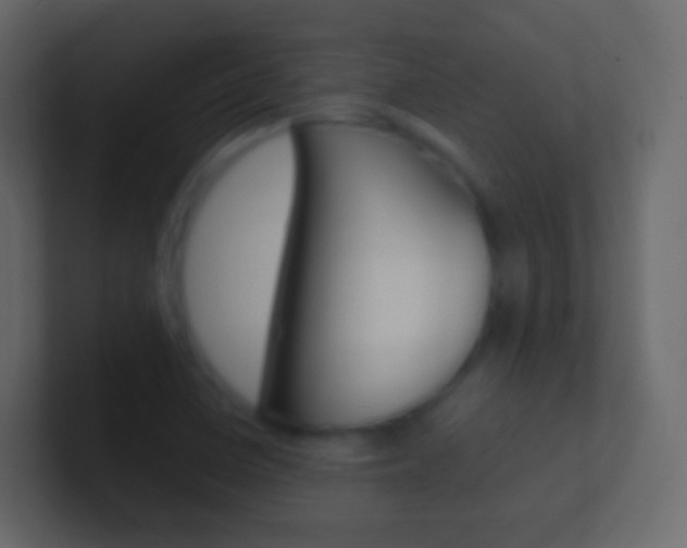 X0000101431410200807070955