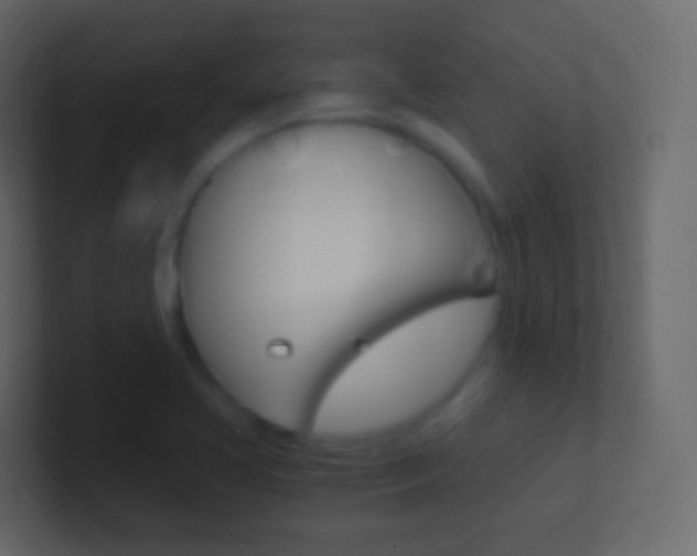 X0000101431413200807070955