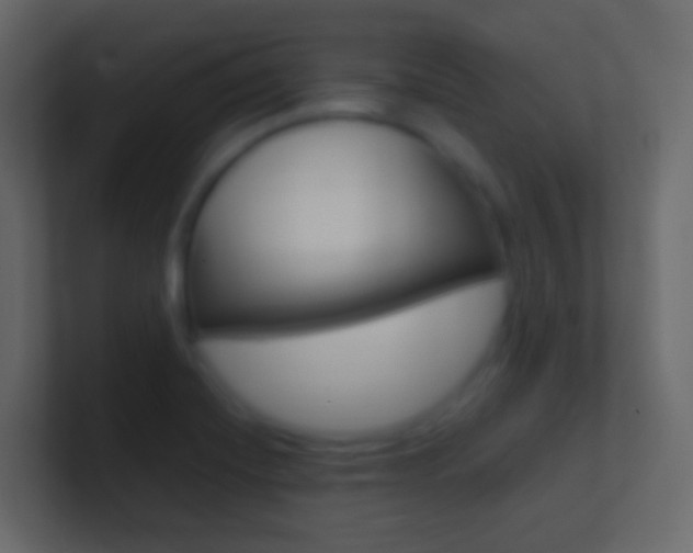 X0000101431420200807070956