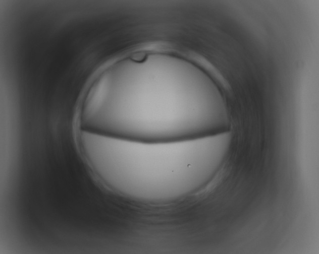 X0000101431421200807070956