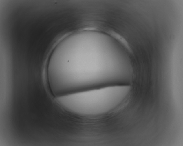 X0000101431423200807070956