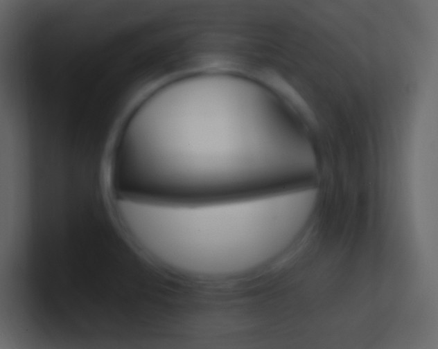 X0000101431424200807070956