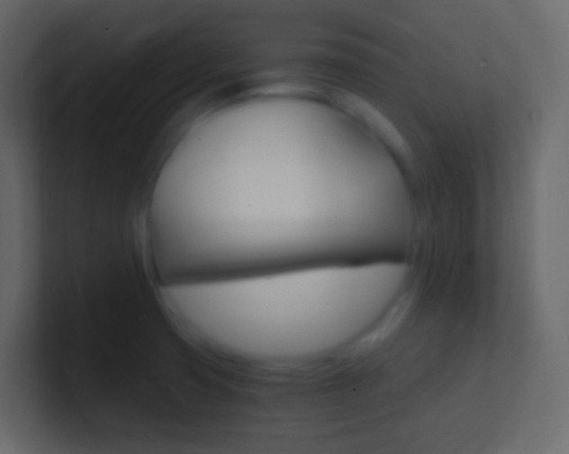 X0000101431425200807070956
