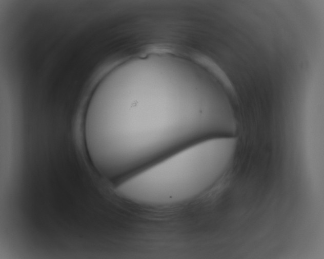 X0000101431427200807070956