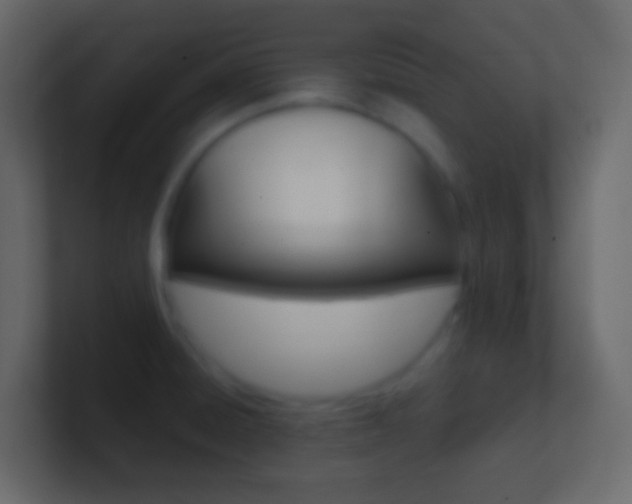 X0000101431428200807070956