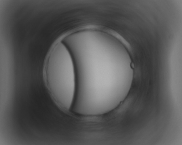 X0000101431429200807070956
