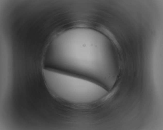X0000101431433200807070956