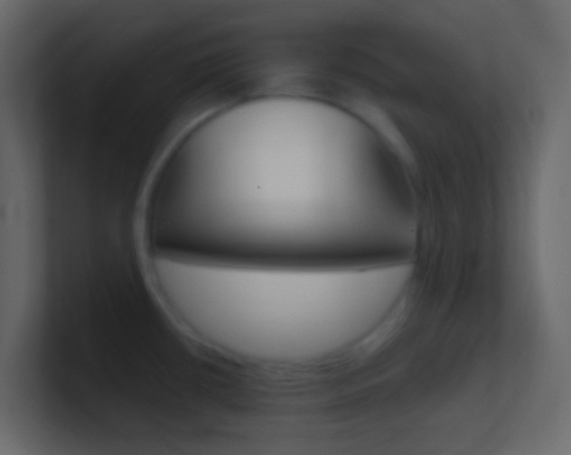X0000101431434200807070956