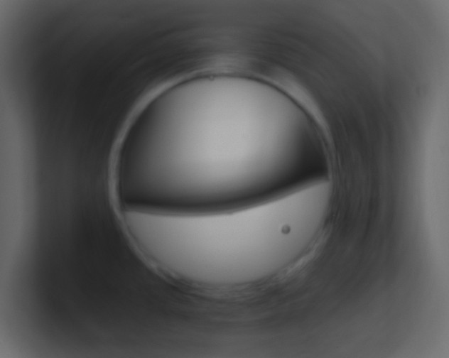 X0000101431437200807070956