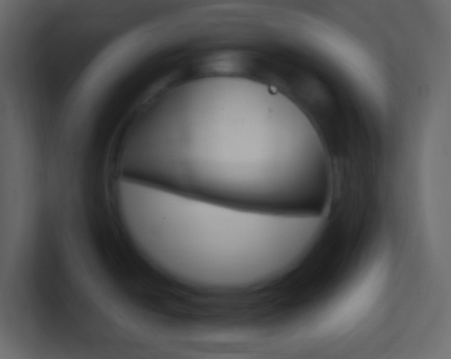 X0000101431438200807070956