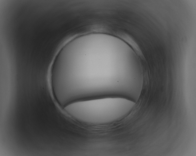 X0000101431439200807070956