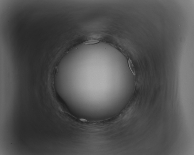 X0000101431441200807070955