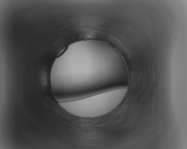 X0000101431442200807070955