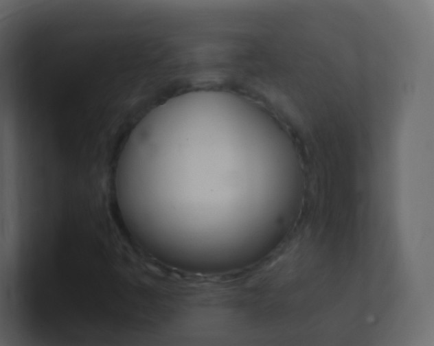 X0000101431445200807070955