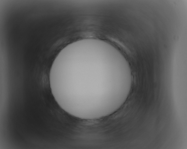 X0000101431446200807070955