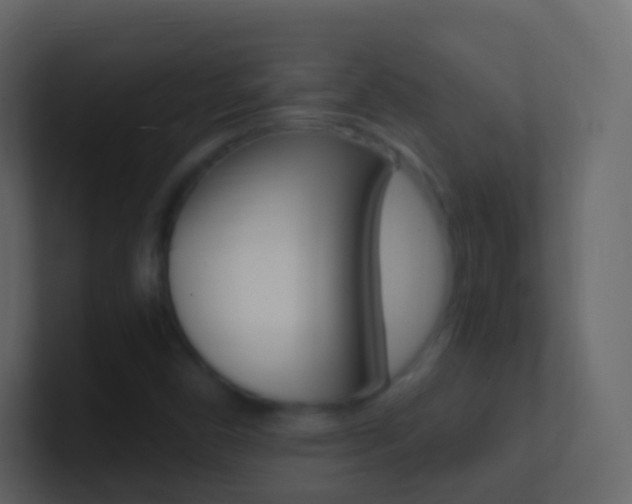 X0000101431450200807070955