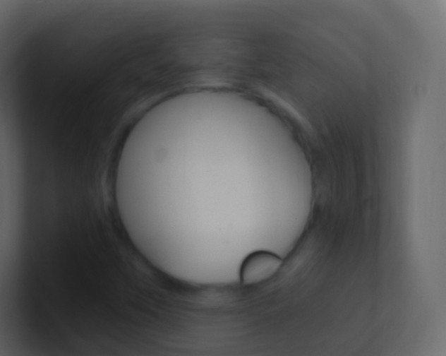 X0000101431451200807070955
