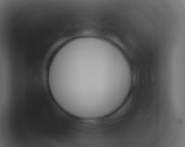 X0000101431454200807070955