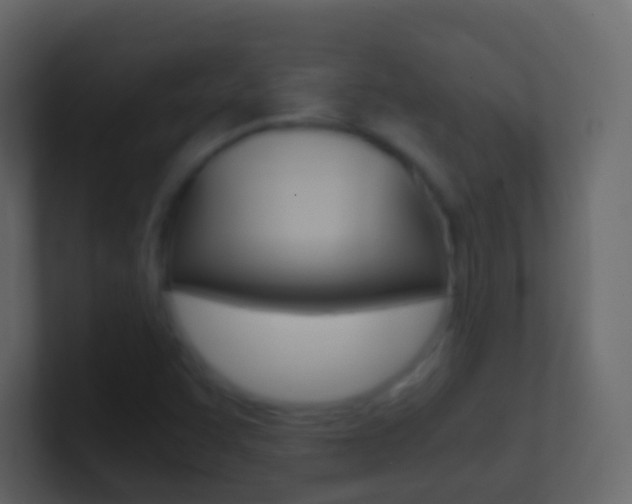 X0000101431455200807070955