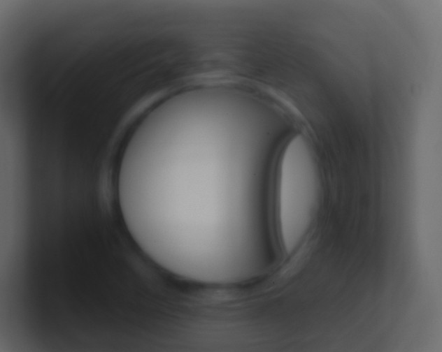 X0000101431458200807070955