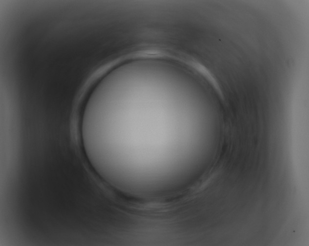 X0000101431464200807070955