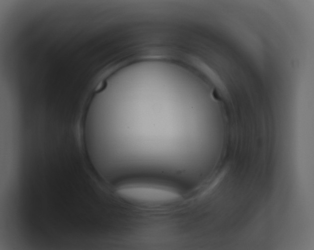X0000101431465200807070955