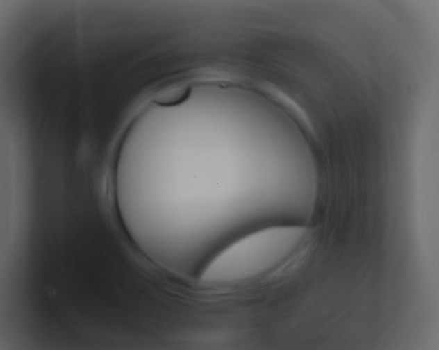 X0000101431467200807070955