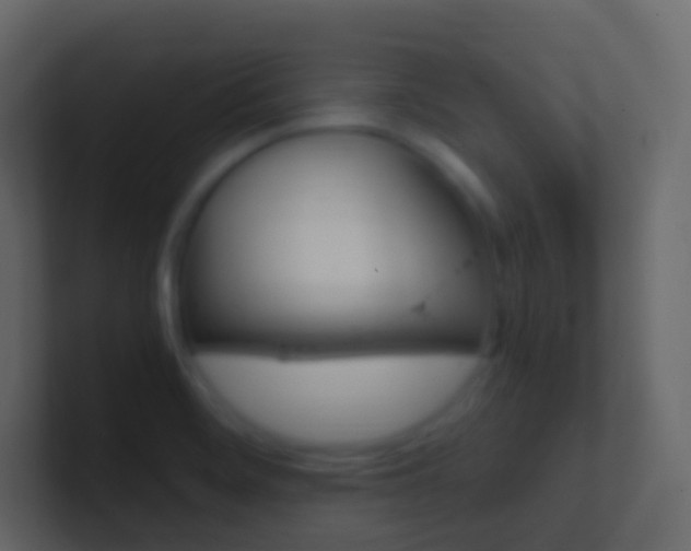 X0000101431468200807070955