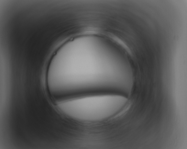 X0000101431469200807070955
