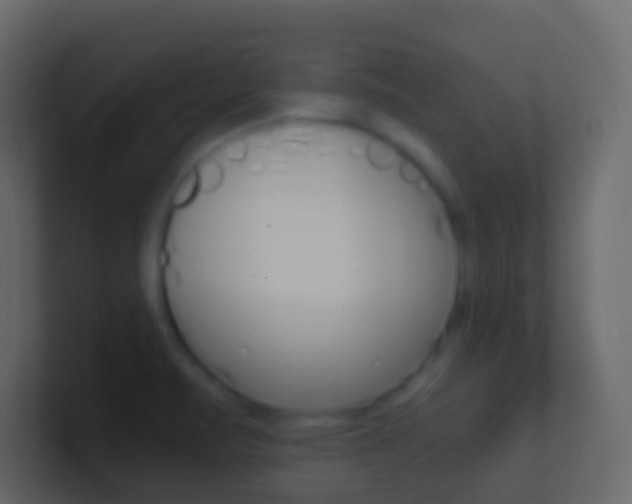 X0000101431471200807070955