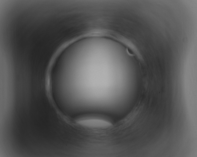 X0000101431472200807070955