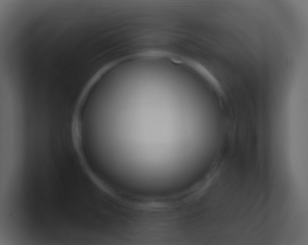 X0000101431476200807070955