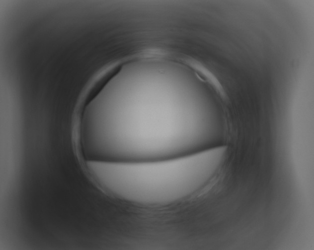 X0000101431477200807070955