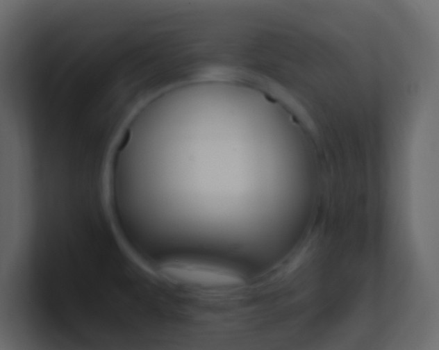 X0000101431479200807070955