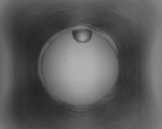 X0000101431480200807070955