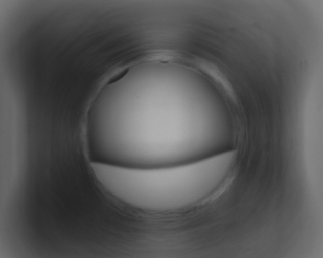 X0000101431481200807070955