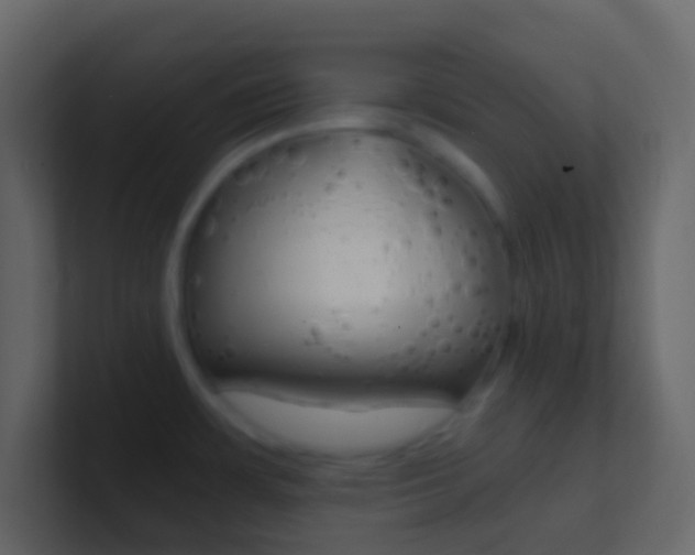 X0000101431483200807070955