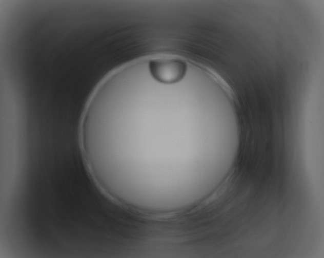 X0000101431484200807070955