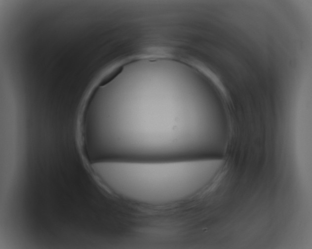 X0000101431485200807070955