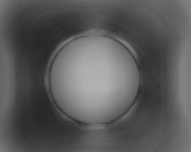X0000101431486200807070955