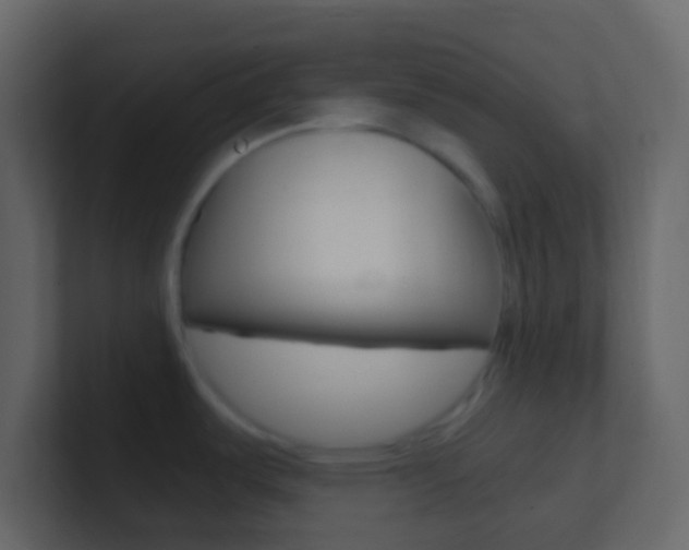 X0000101431487200807070955