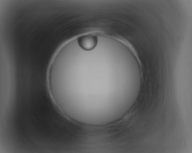 X0000101431488200807070955